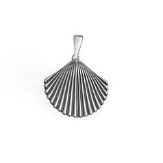 Shell Pendant