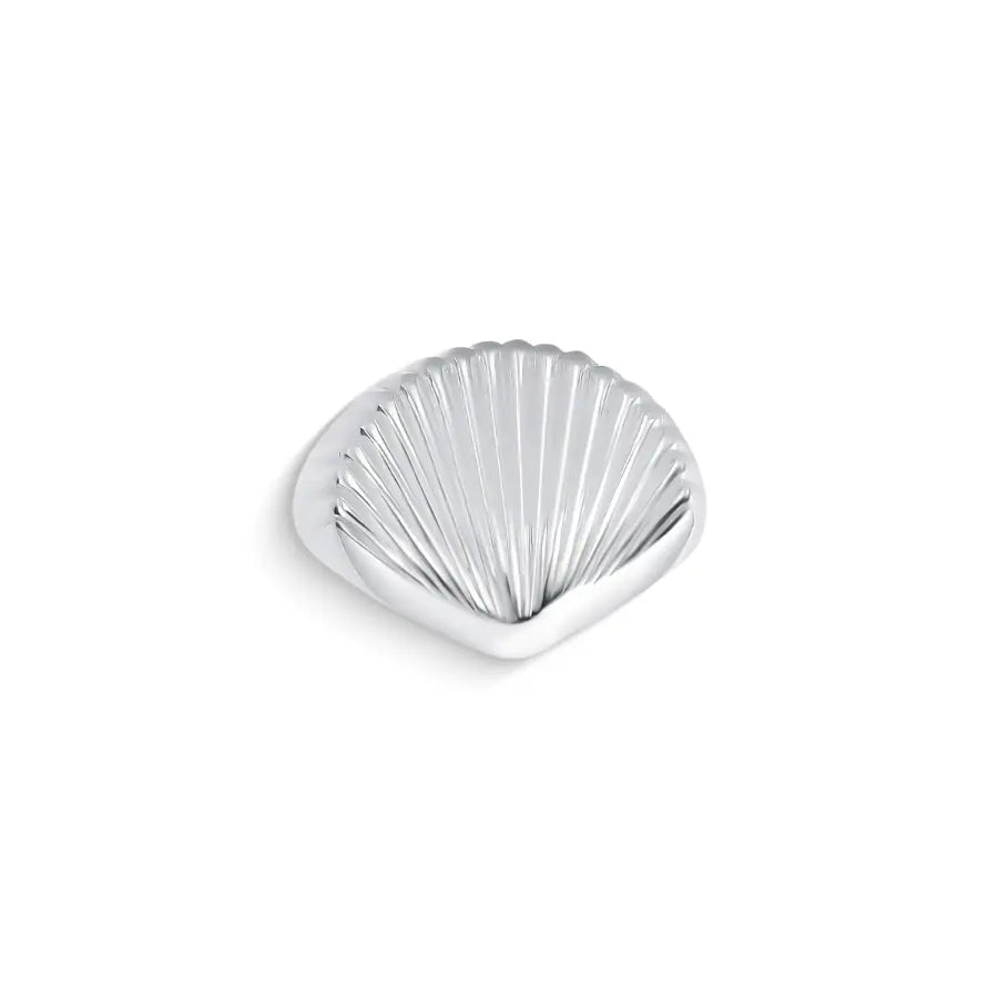 White Shell Adjustable  Ring