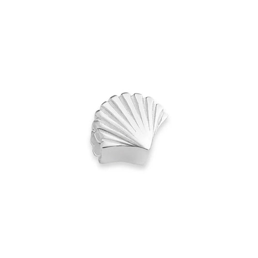 Shell Charm
