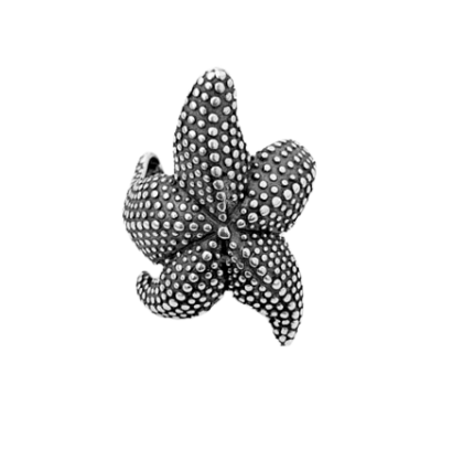 Iron Star Ring