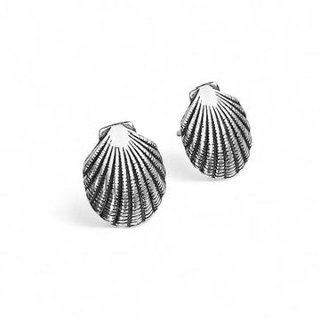 Small Shell