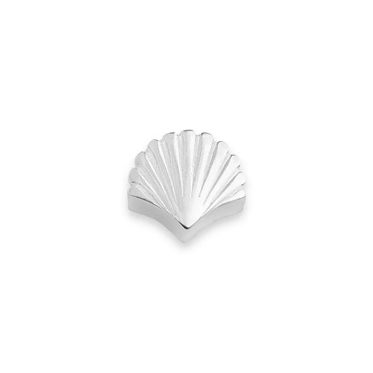 Shell Charm